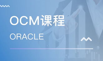 上海OCM課程價(jià)格與Oracle認(rèn)證培訓(xùn)指南 哪家機(jī)構(gòu)更值得選擇？